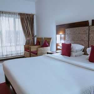 Habitación Deluxe con Cama King
